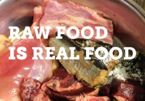 Raw Dog Food in a bowl.