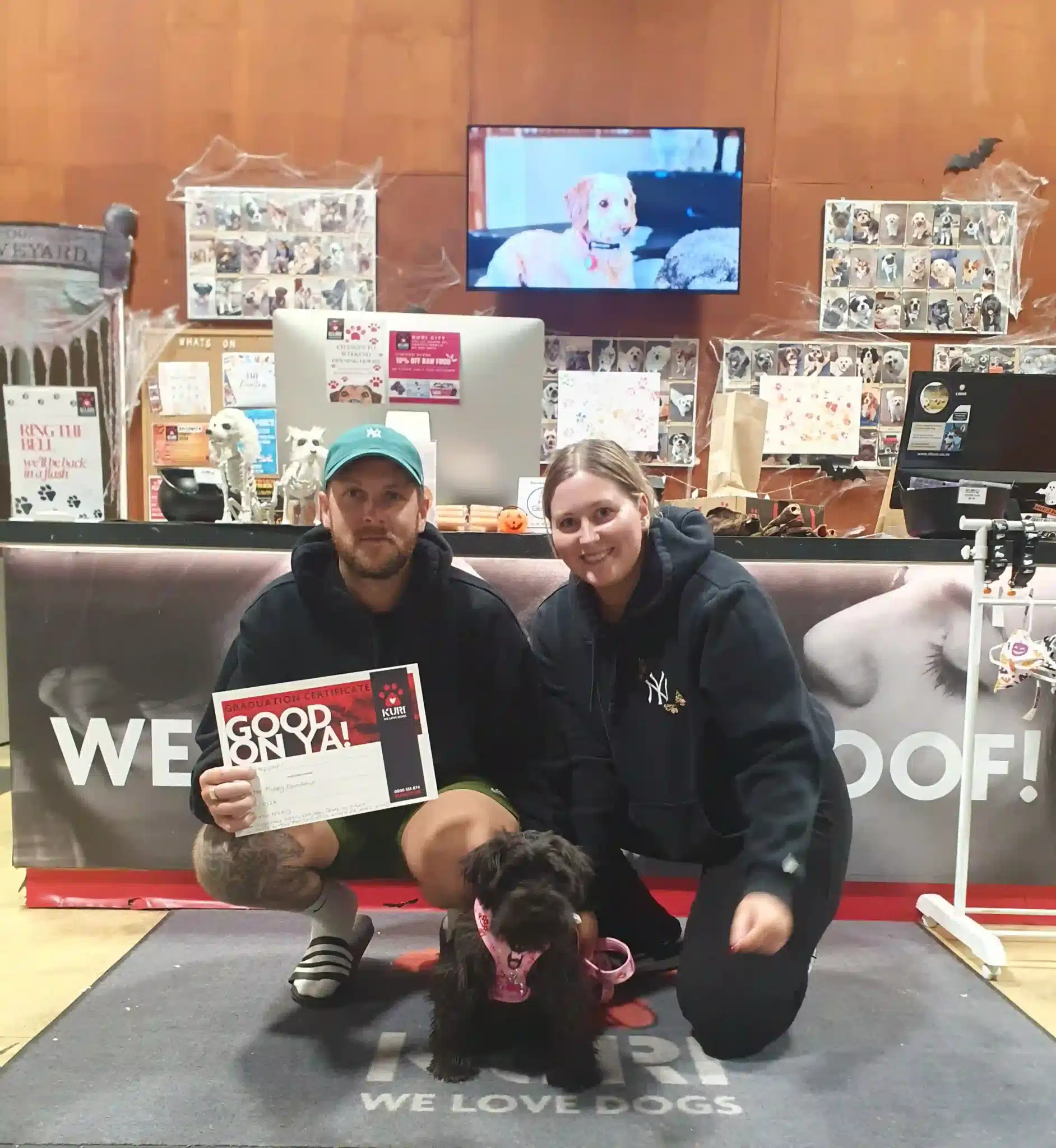 Dog training session at Kuri City's indoor facility, Christchurch