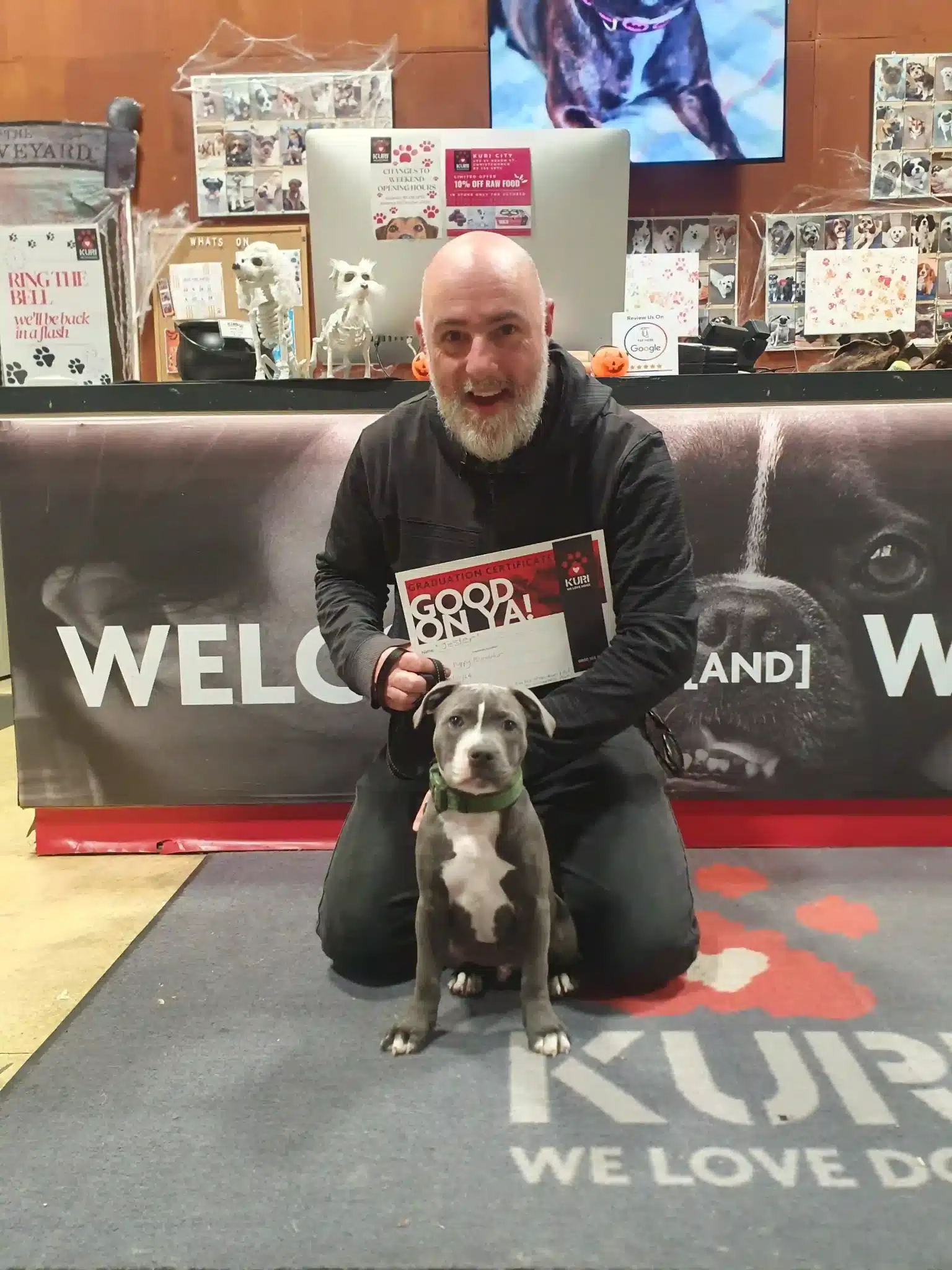 Small group dog training class at Kuri City, Christchurch