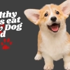 Small corgie puppy with ears up looking happy. Text saying healthy pups eat raw dog food.