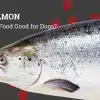 Picture of a salmon with dog prints