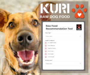 Raw Food Selector Tool from Kuri will help you choose what to feed your dog.