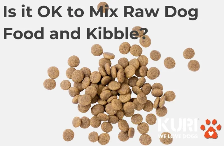 Dog kibble with the question is it ok to mix raw dog food and kibble together?