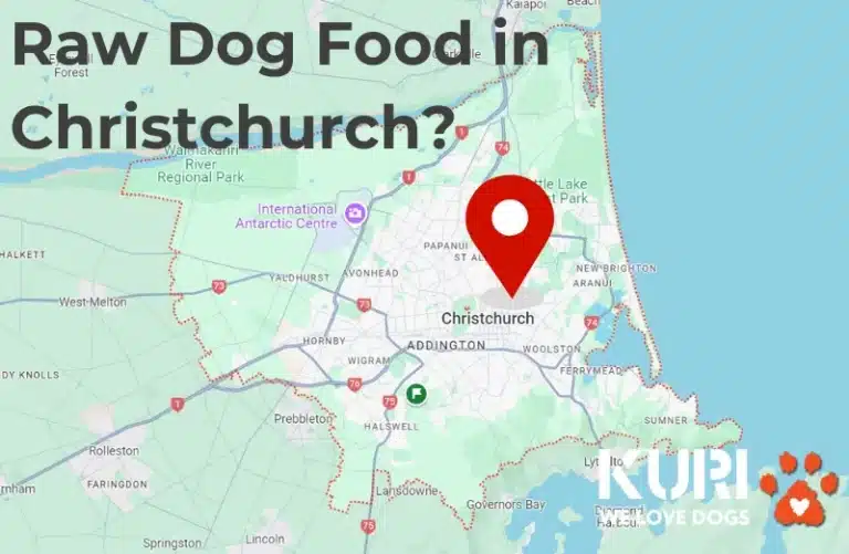 Map of Christchurch with a pin pointing to Kuri City where you can buy raw dog food.