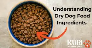 Understanding dry dog food ingredients