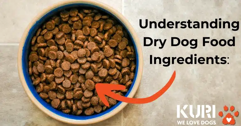 Understanding dry dog food ingredients