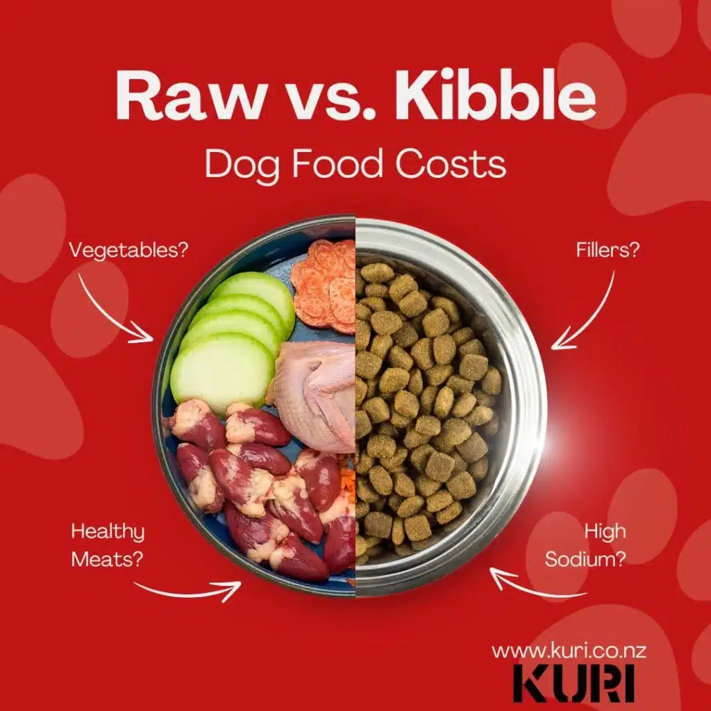 A half bowl of kibble and raw dog food.