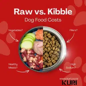 A half bowl of kibble and raw dog food.