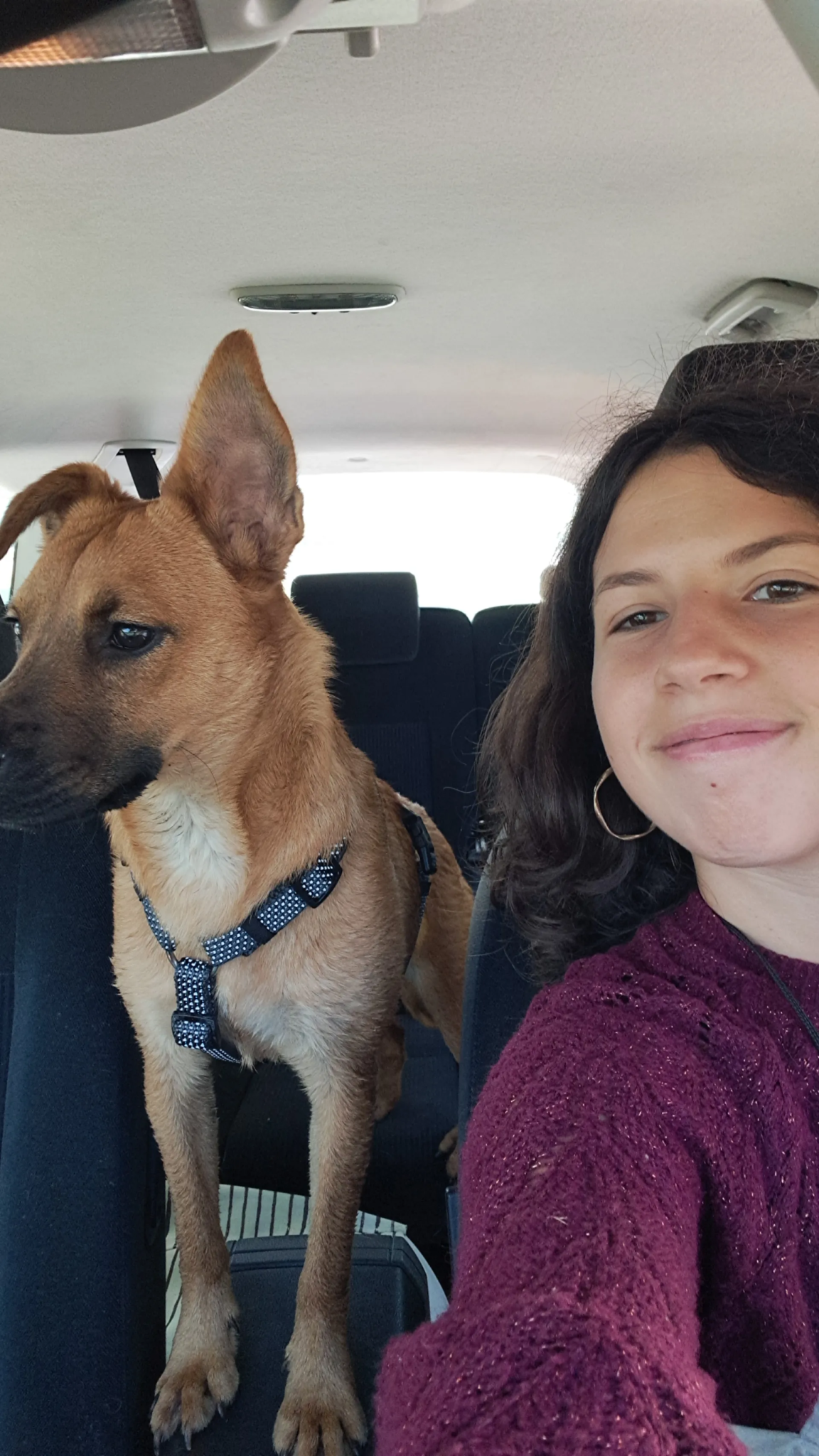 Elodie, Dog Walker at Kuri City