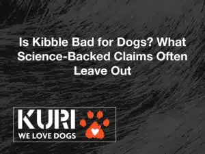 Kibble's backed by science — so it must be the best option for your dog. Sounds convincing, right? If there's science behind it, it has to be the right choice. But here's where a lot of good dog owners get misled. Not all science-backed claims are created equal, and the phrase itself can be more reassuring than it deserves to be. If you've been wondering whether kibble is bad for dogs, the answer isn't as simple as the marketing makes it seem. It starts with understanding who's behind the research, what's actually being measured, and what's quietly left out.