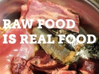 Raw Dog Food in a bowl.